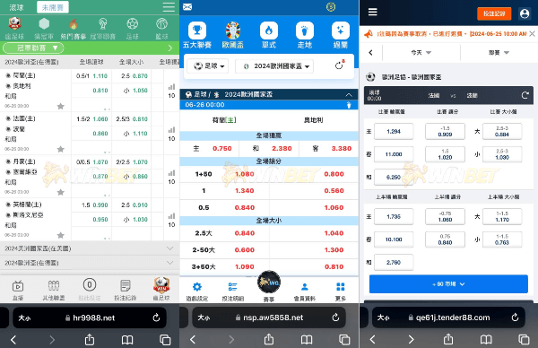 金獅娛樂城體育投注系統