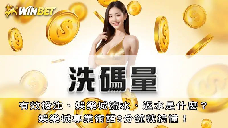 洗碼量|有效投注、娛樂城流水、返水是什麼?娛樂城專業術語3分鐘就搞懂!