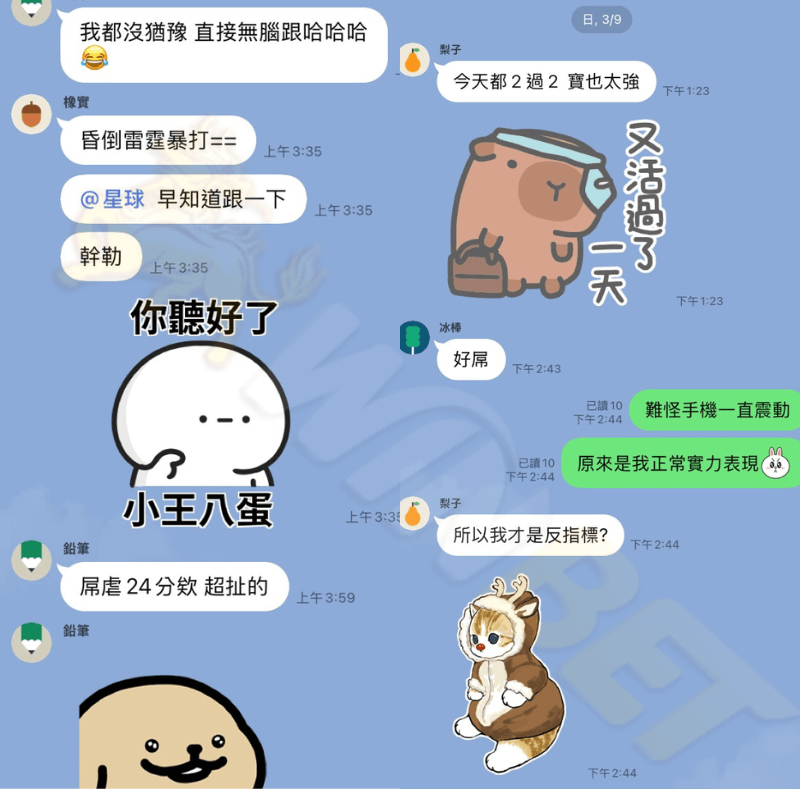 金獅娛樂城會員真實回饋